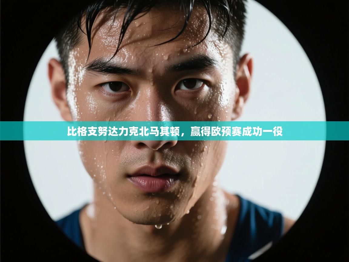 比格支努达力克北马其顿，赢得欧预赛成功一役  第1张