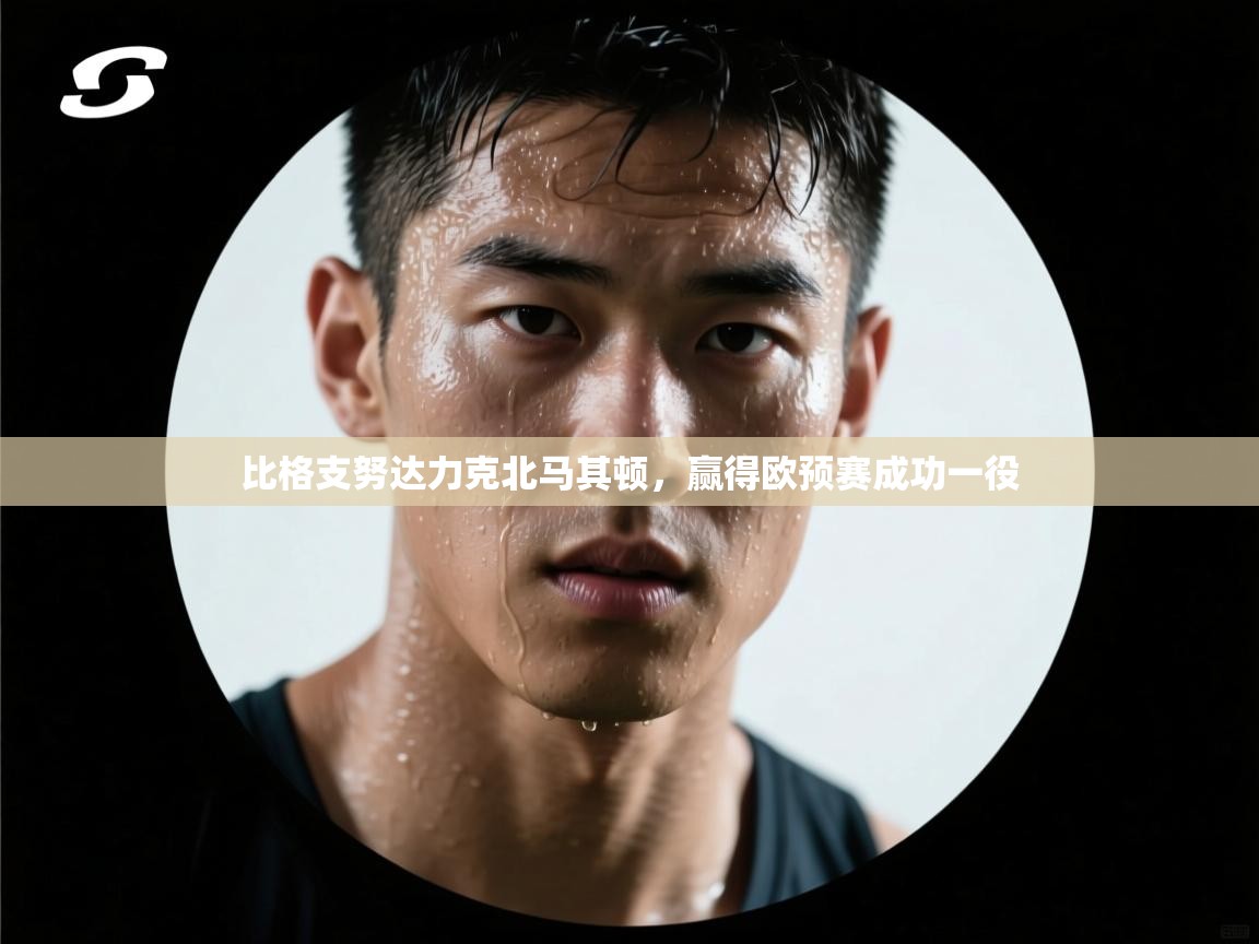 比格支努达力克北马其顿，赢得欧预赛成功一役  第2张