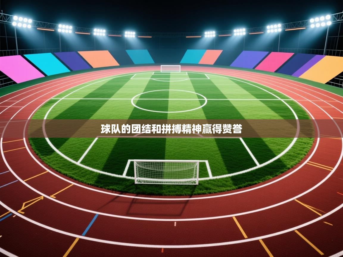 球队的团结和拼搏精神赢得赞誉  第1张