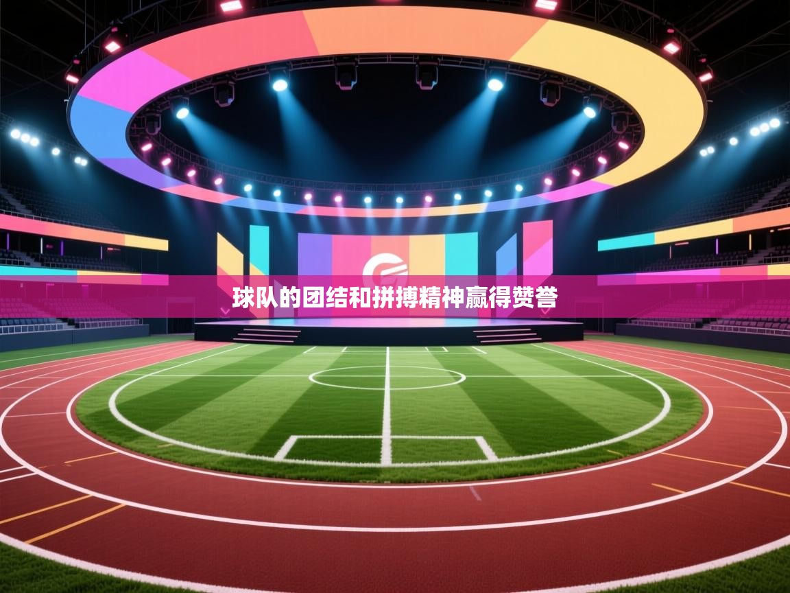 球队的团结和拼搏精神赢得赞誉  第2张